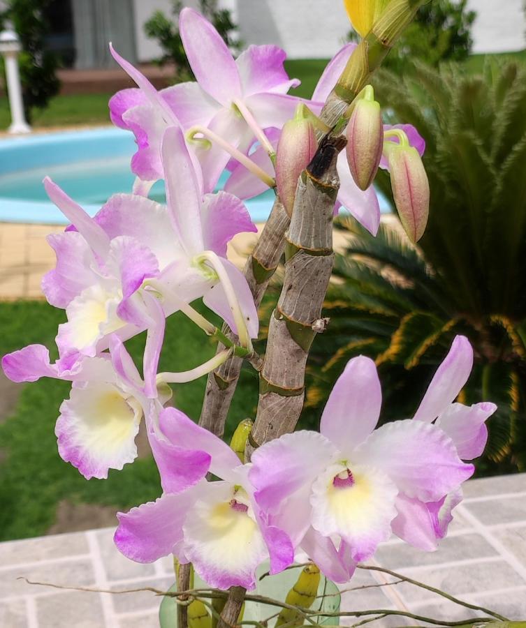 Quinta Do Lapa II Apartman Florianópolis Kültér fotó